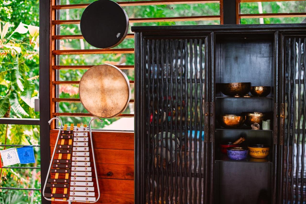 Selva Madre Eco-Sanctuary Aparthotel Cahuita Εξωτερικό φωτογραφία