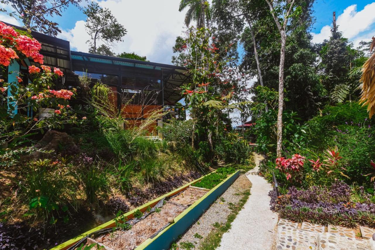 Selva Madre Eco-Sanctuary Aparthotel Cahuita Εξωτερικό φωτογραφία