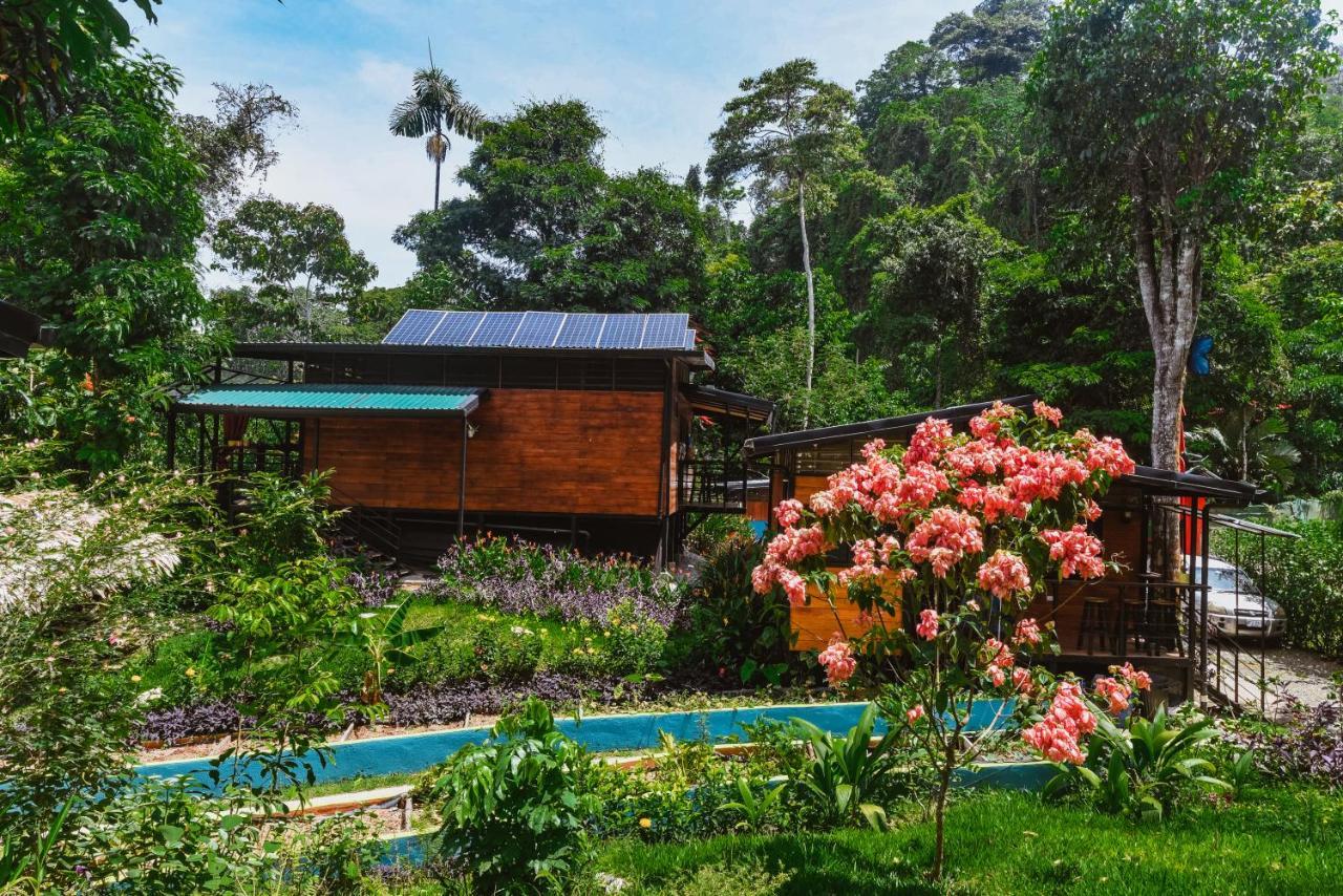 Selva Madre Eco-Sanctuary Aparthotel Cahuita Εξωτερικό φωτογραφία