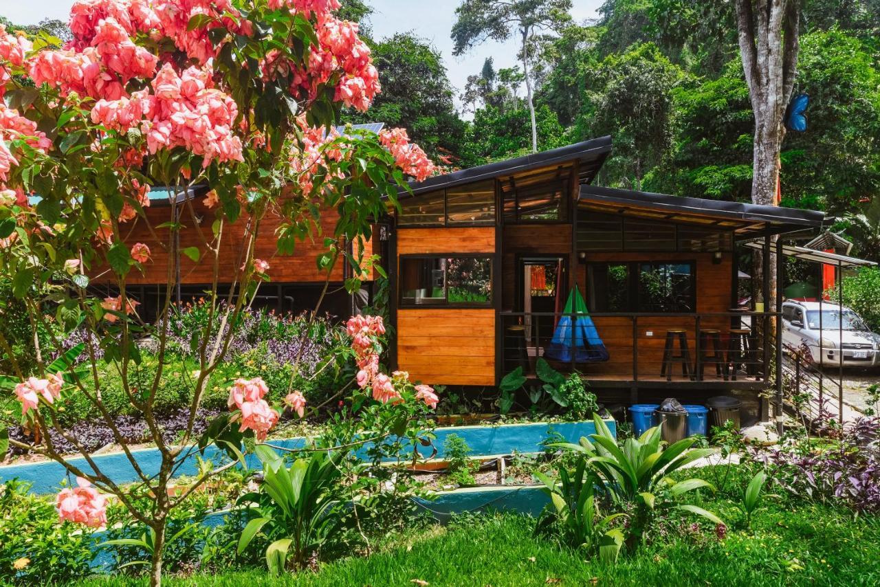 Selva Madre Eco-Sanctuary Aparthotel Cahuita Εξωτερικό φωτογραφία