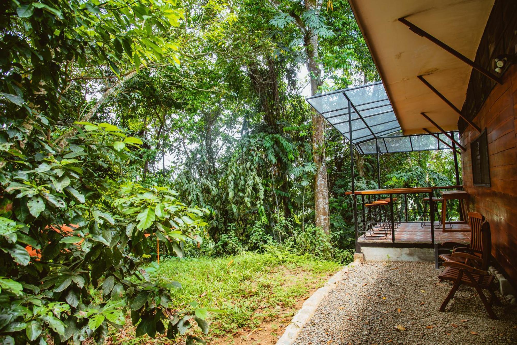 Selva Madre Eco-Sanctuary Aparthotel Cahuita Εξωτερικό φωτογραφία