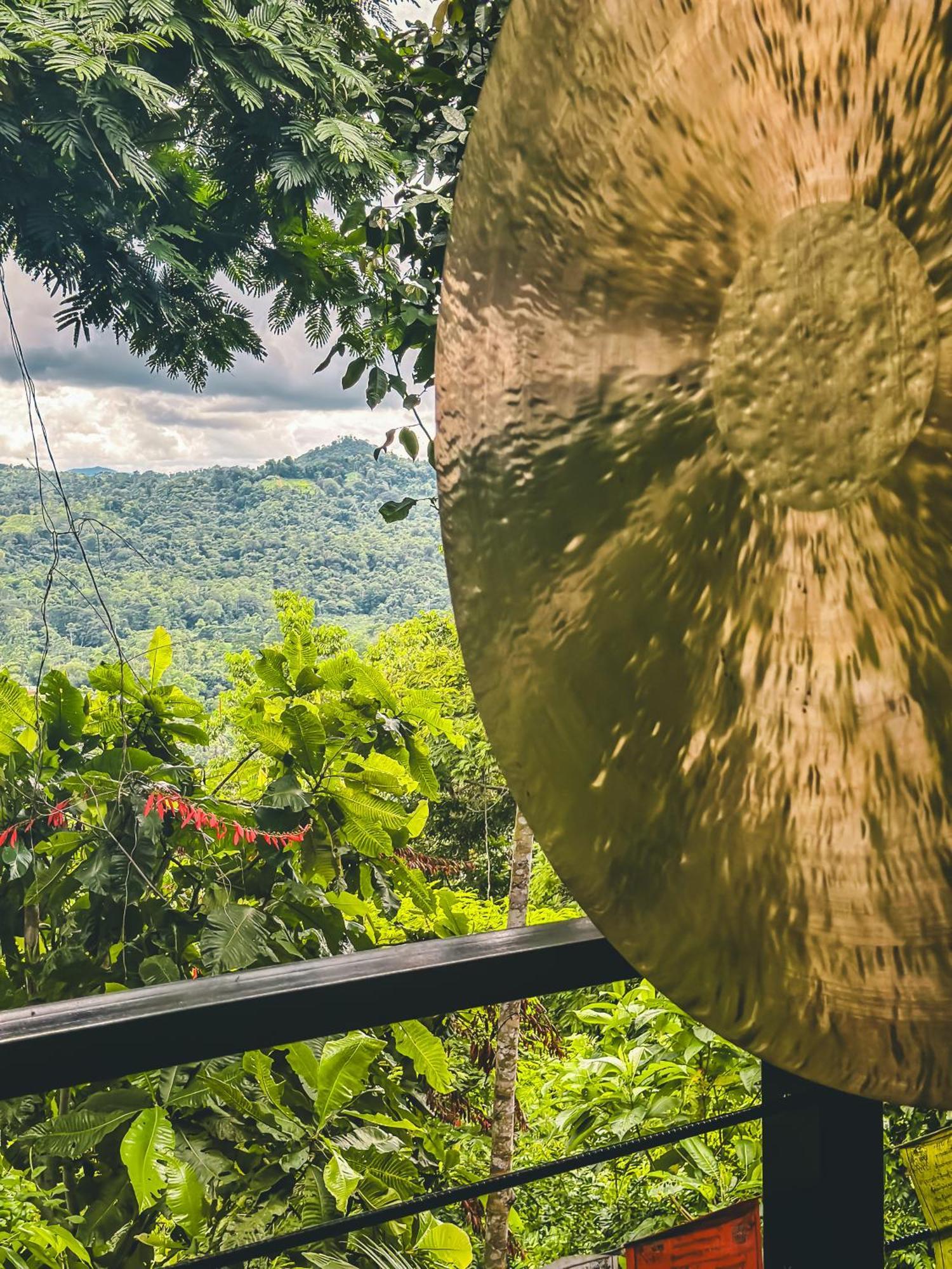 Selva Madre Eco-Sanctuary Aparthotel Cahuita Εξωτερικό φωτογραφία